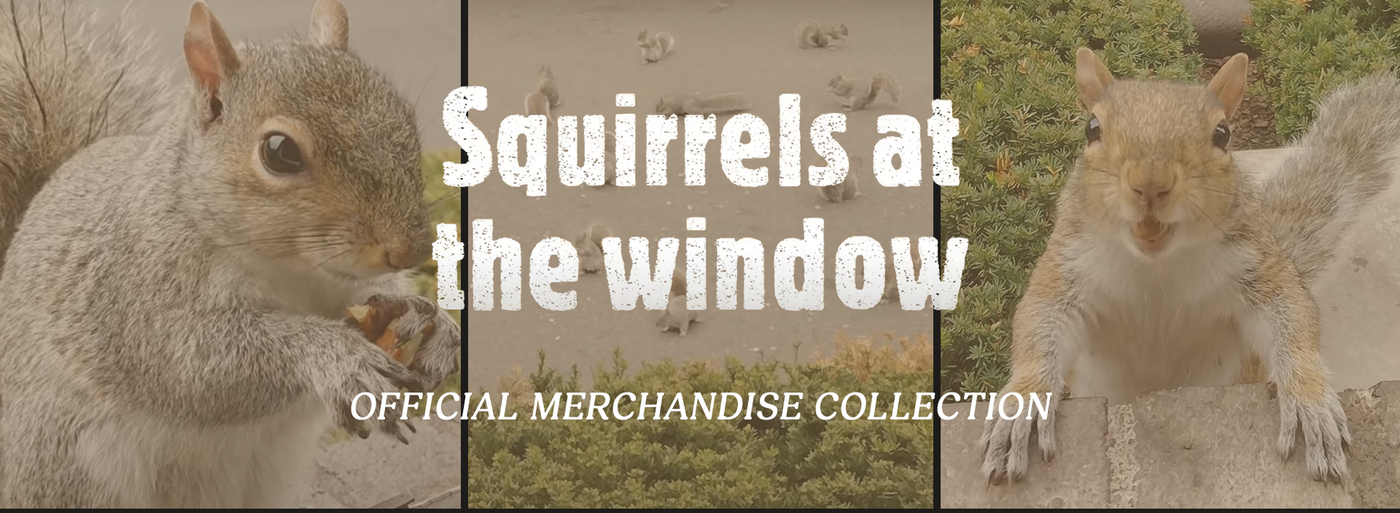 Squirrels At The Window