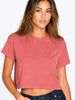 Desert Rose