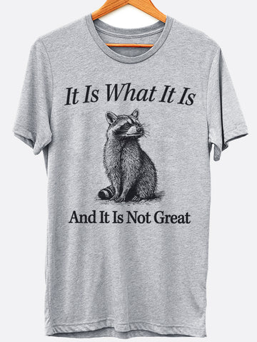 It Is What It Is Graphic Tee