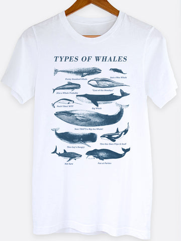 Types Of Whales Graphic Tee